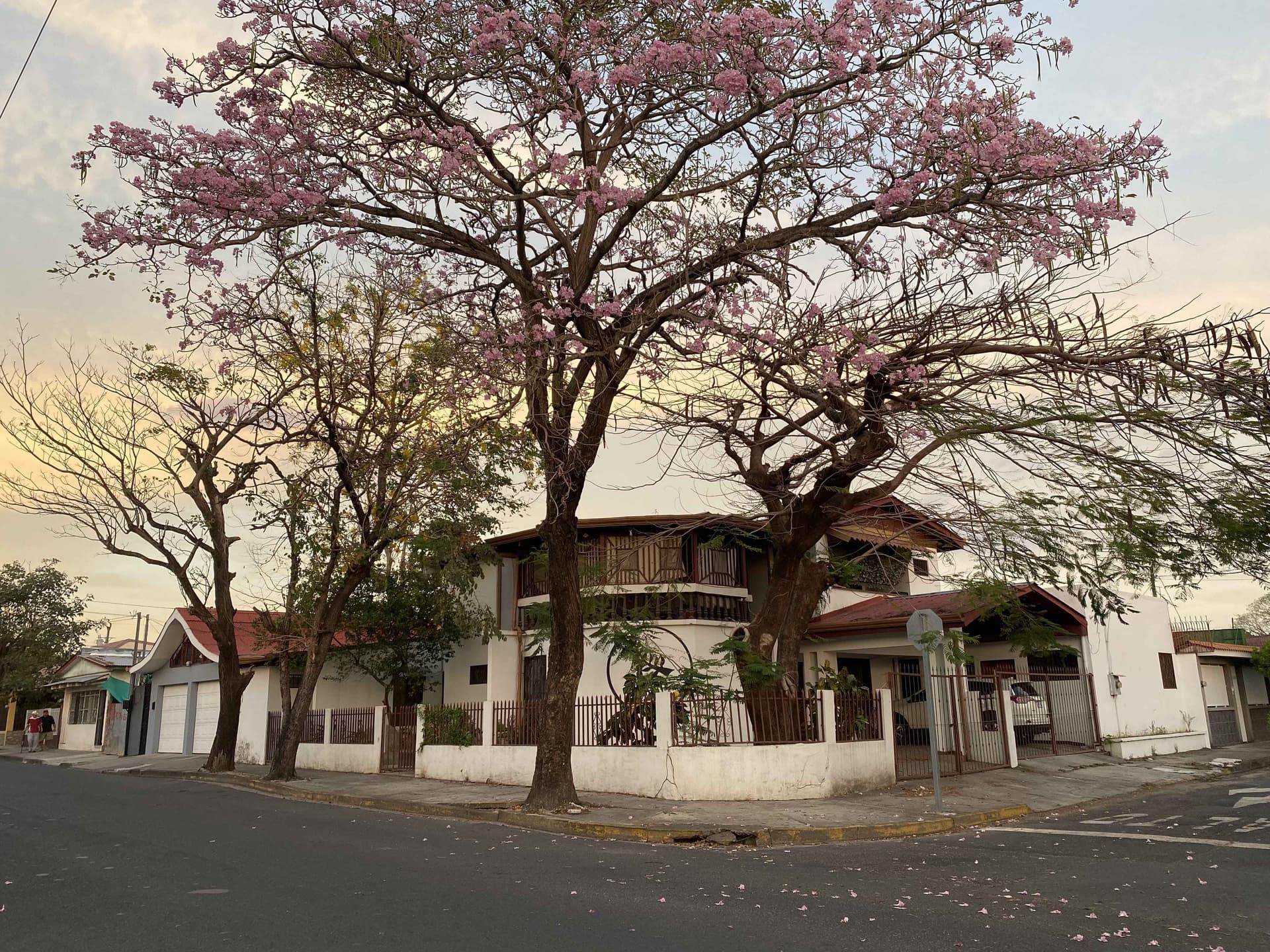 Casa Todah B&B imagen 1